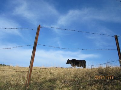 IMG_2489 (800x600).jpg