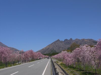 P1020186_R.JPG (314.2 KiB) 表示数: 10686 回 P1020186_R.JPG