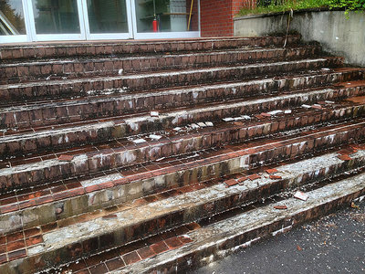 IMG_0590.jpg (329.57 KiB) 表示数: 24757 回 IMG_0590.jpg