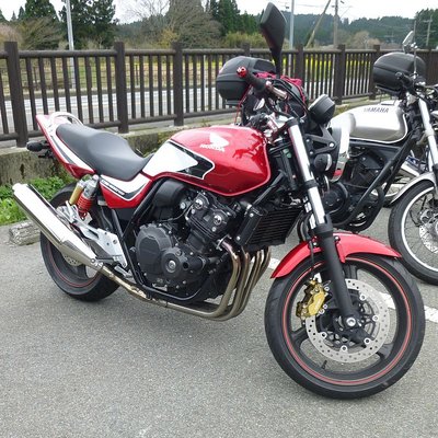 sakura.jpg (232.71 KiB) 表示数: 52326 回 sakura.jpg