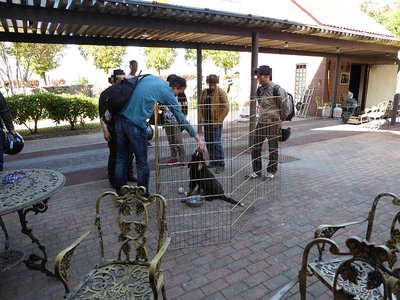 bayern_2.jpg (166.8 KiB) 表示数: 15338 回 bayern_2.jpg