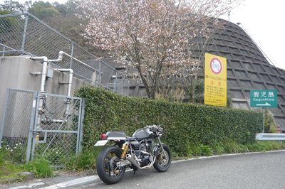 20140407坂本PA桜の下で.JPG
